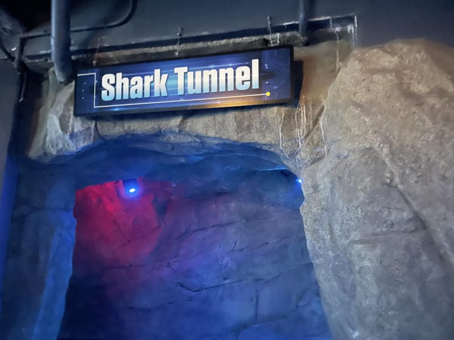 shark_tunnel_sign