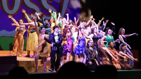 The cast of Seussical brought their best to the stage in ACITs Performing Arts Center.